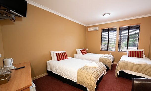Standard Single Room Lodge