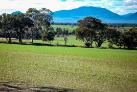 View from Cottage