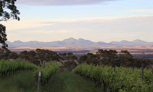 castle rock estate winery 5b0ba60857d4c01950e1ae03